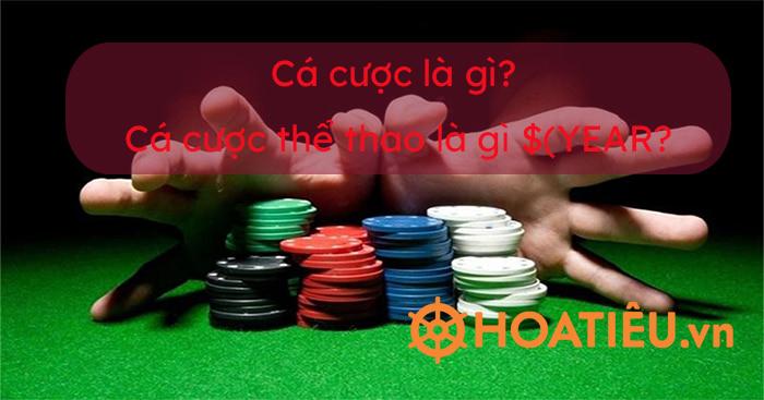 Khám phá các thể loại game 1 người chơi hấp dẫn dành cho mọi lứa tuổi